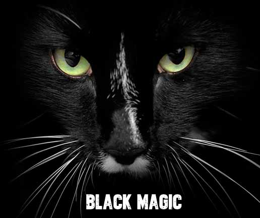 Black Magic Specialist in Pune